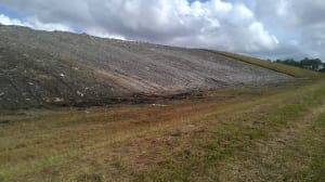 IMAG0984