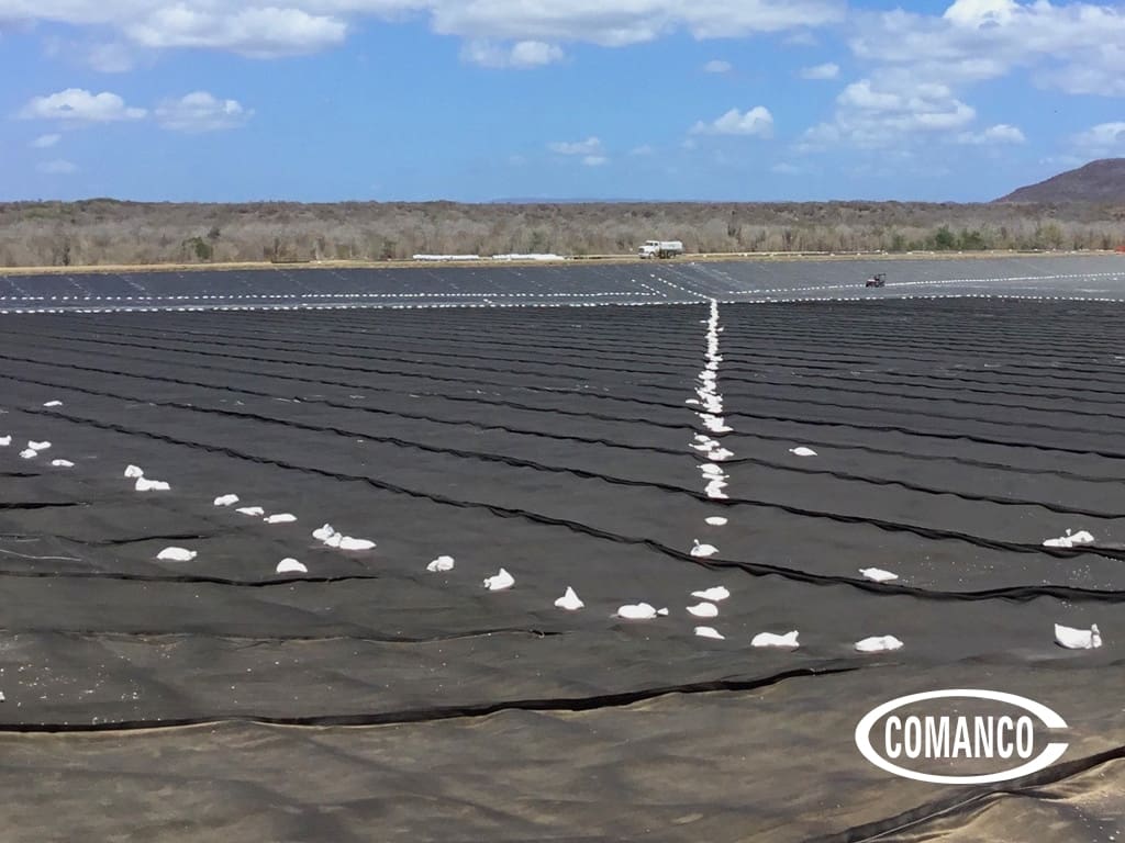03-LFTF-Guantanamo-03.21.2022-BLOG.jpg
